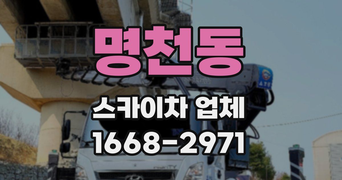 명천동 스카이차 업체