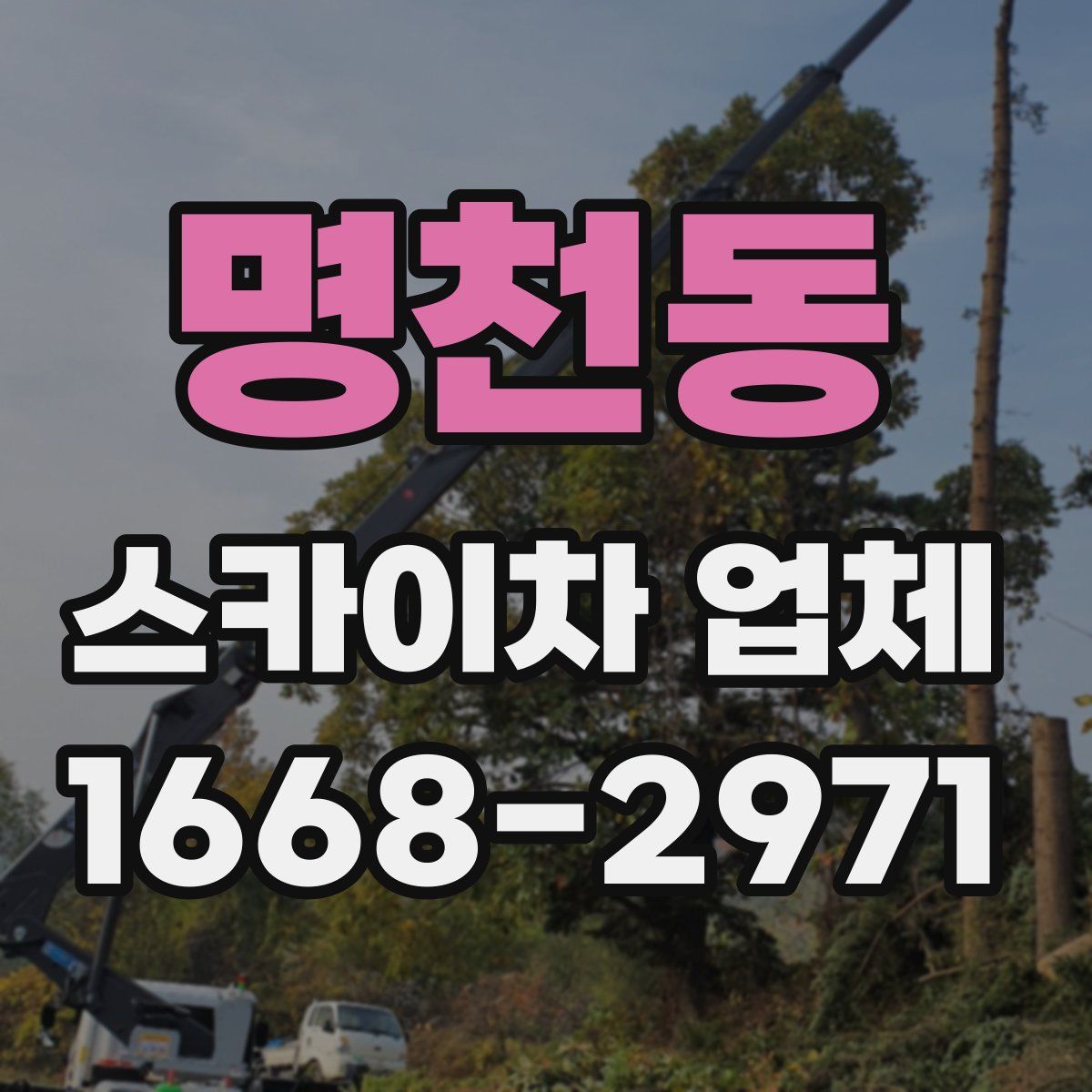 명천동 스카이차 업체