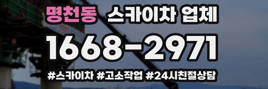 명천동 스카이차 업체