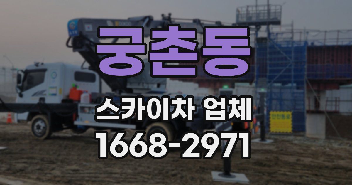 궁촌동 스카이차 업체