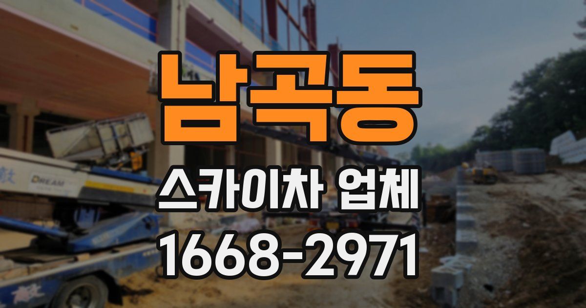 남곡동 스카이차 업체