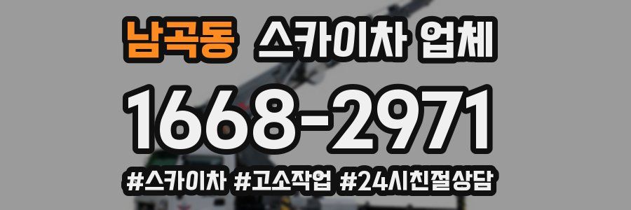 남곡동 스카이차 업체