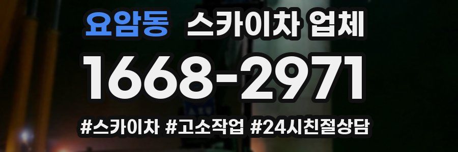 요암동 스카이차 업체