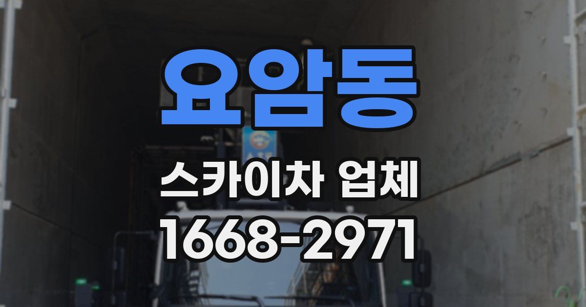 요암동 스카이차 업체