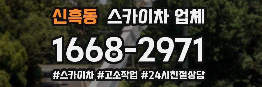 신흑동 스카이차 업체