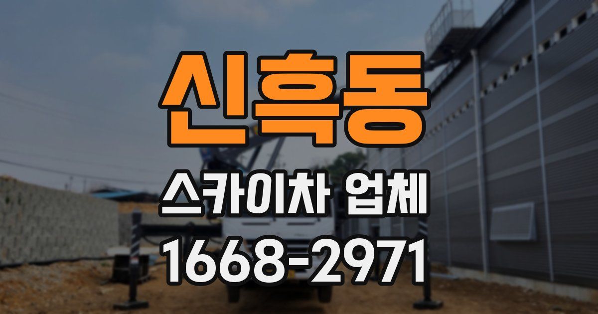 신흑동 스카이차 업체