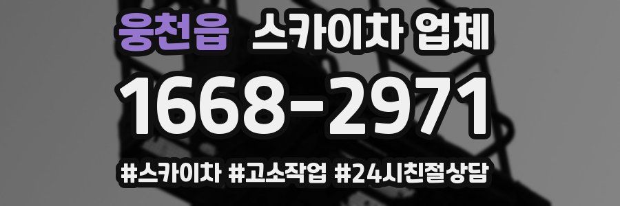 웅천읍 스카이차 업체