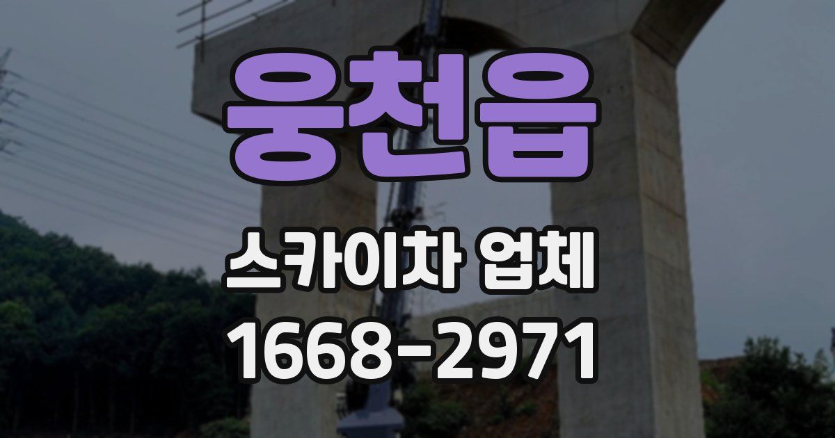웅천읍 스카이차 업체