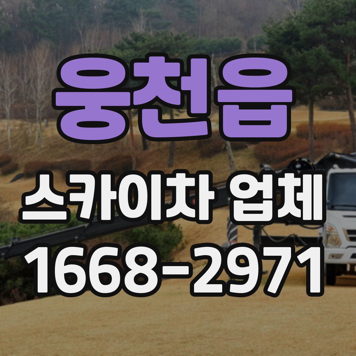 웅천읍 스카이차 업체