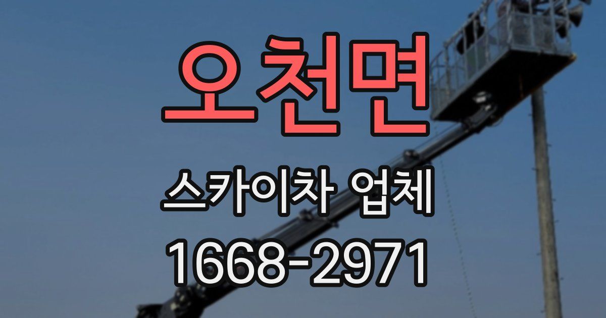 오천면 스카이차 업체