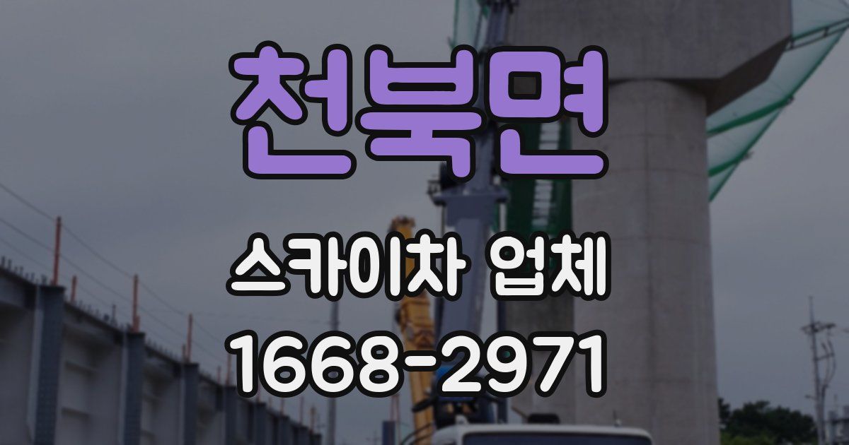 천북면 스카이차 업체