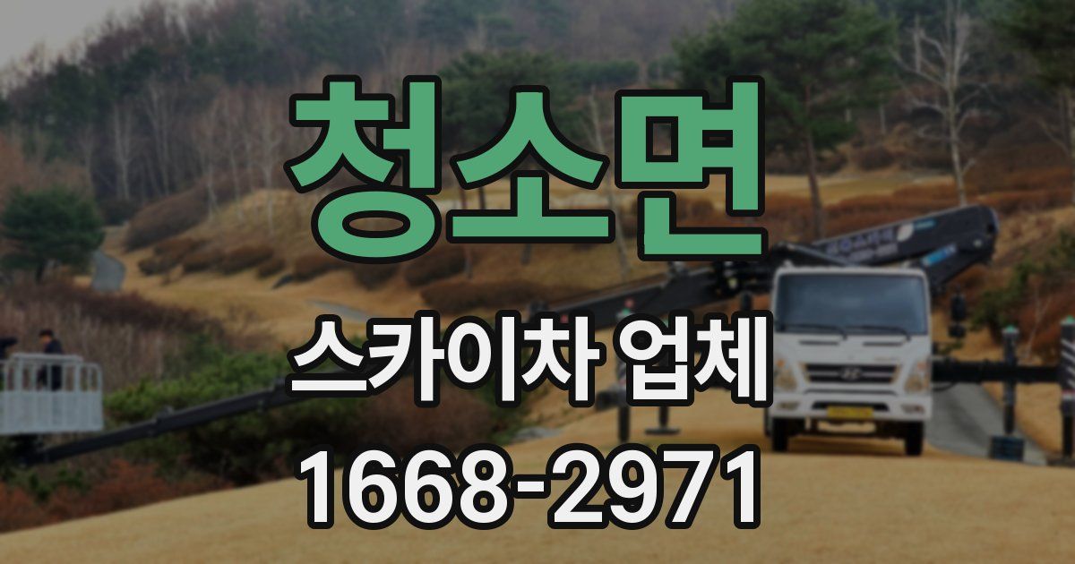 청소면 스카이차 업체