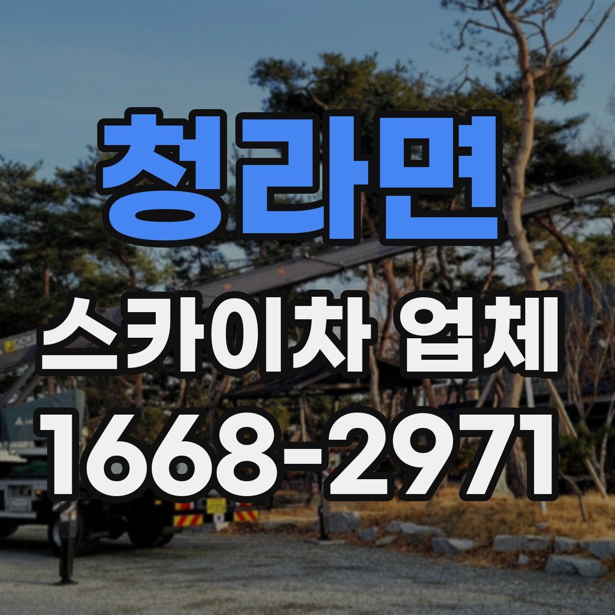 청라면 스카이차 업체