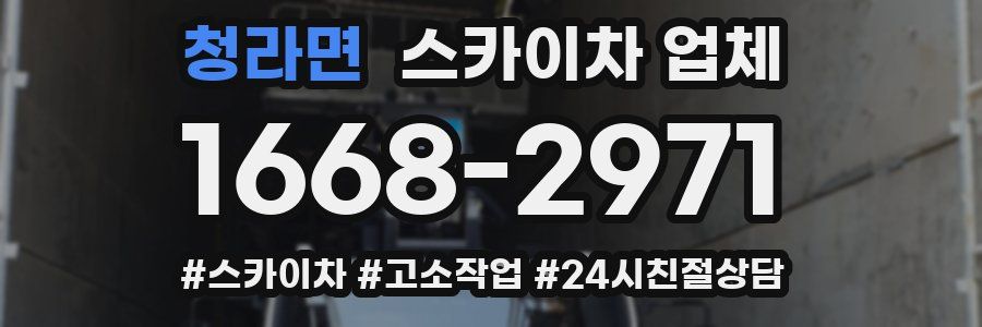 청라면 스카이차 업체
