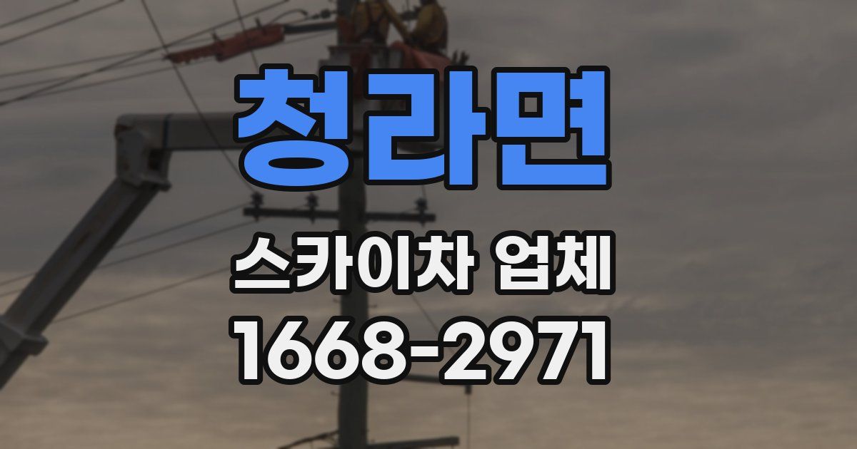 청라면 스카이차 업체