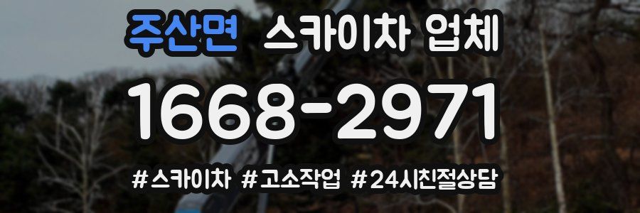 주산면 스카이차 업체