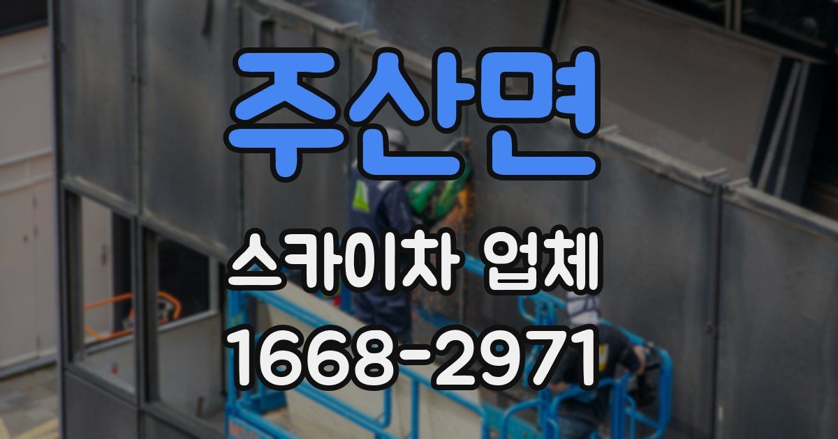 주산면 스카이차 업체