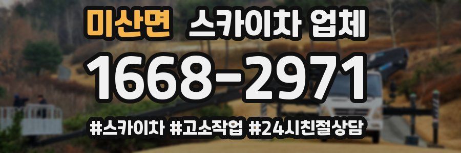 미산면 스카이차 업체