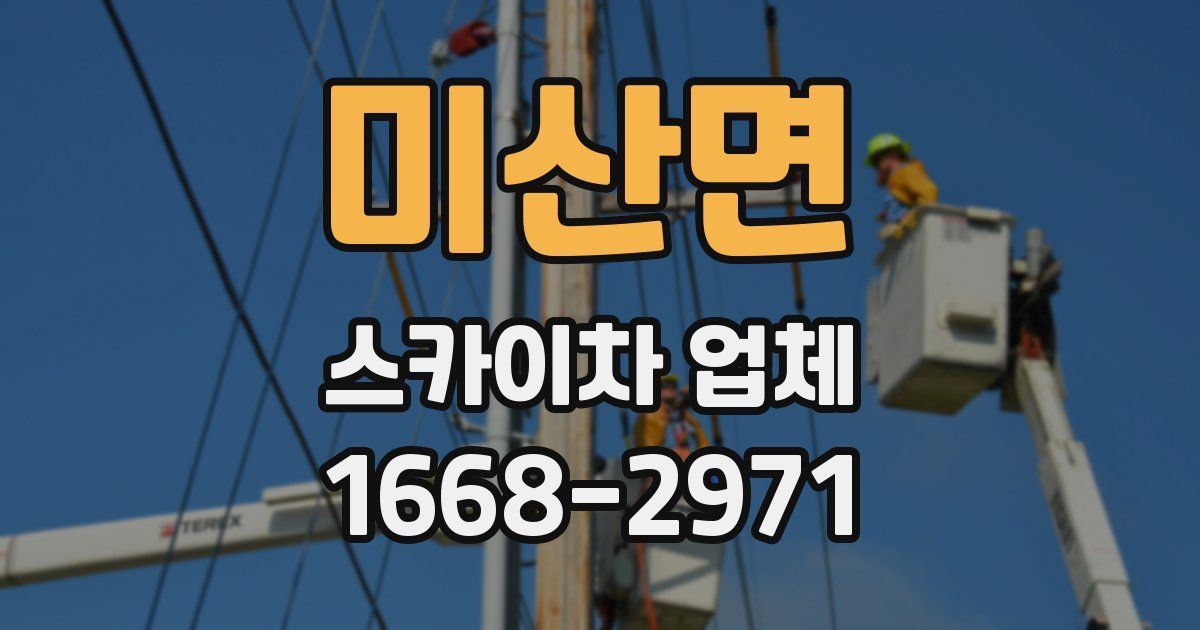 미산면 스카이차 업체