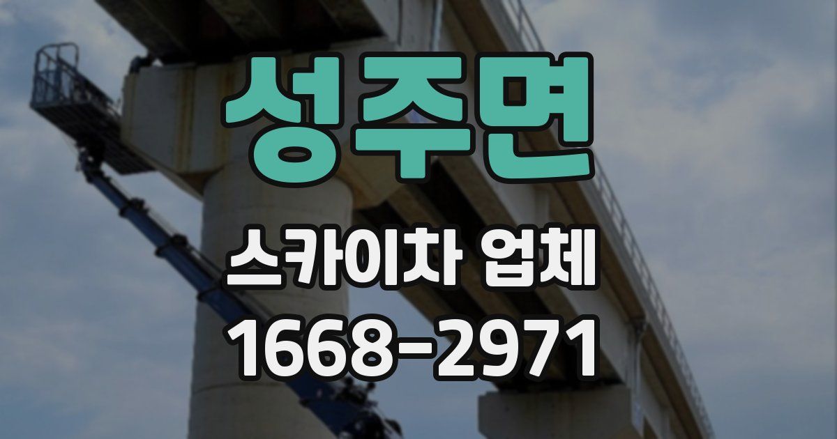 성주면 스카이차 업체