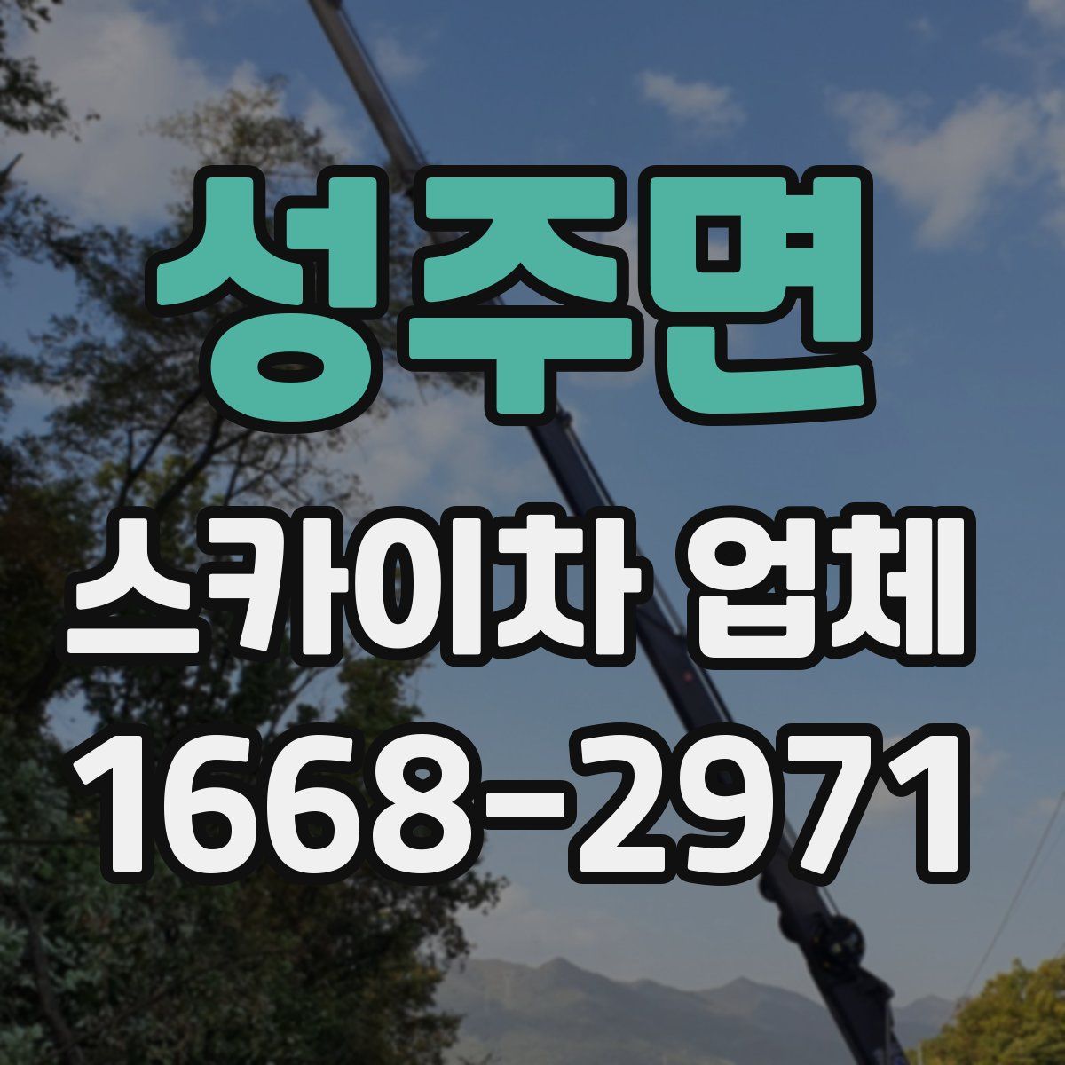 성주면 스카이차 업체