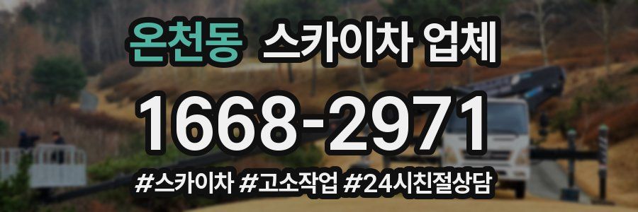온천동 스카이차 업체