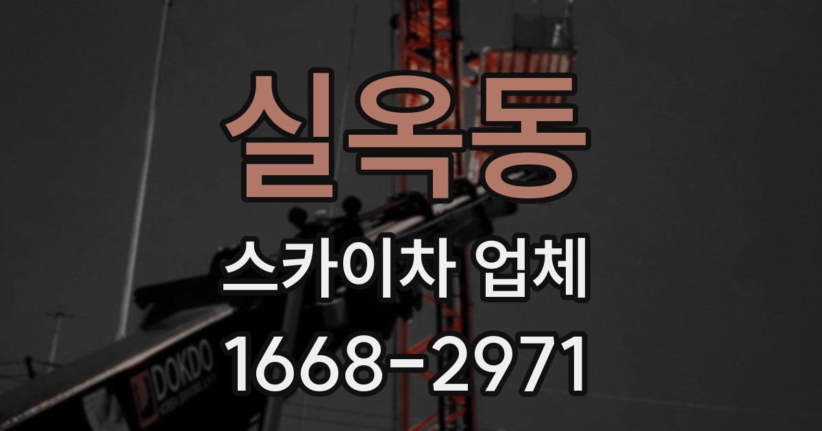 실옥동 스카이차 업체