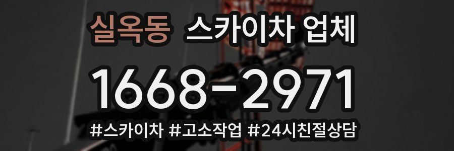 실옥동 스카이차 업체