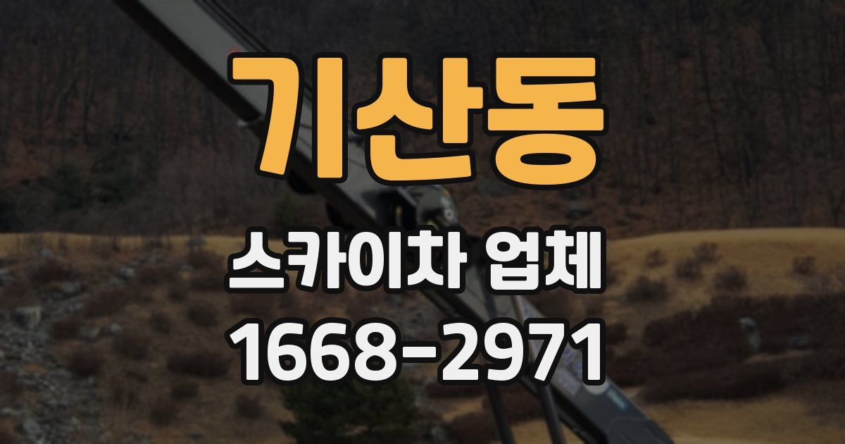 기산동 스카이차 업체