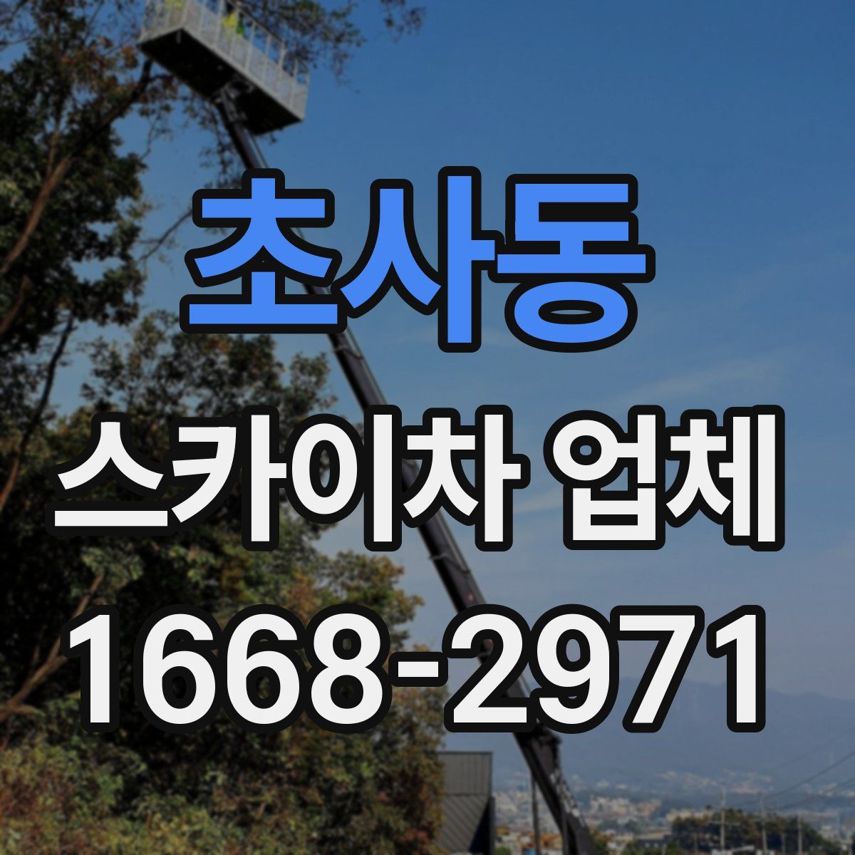 초사동 스카이차 업체