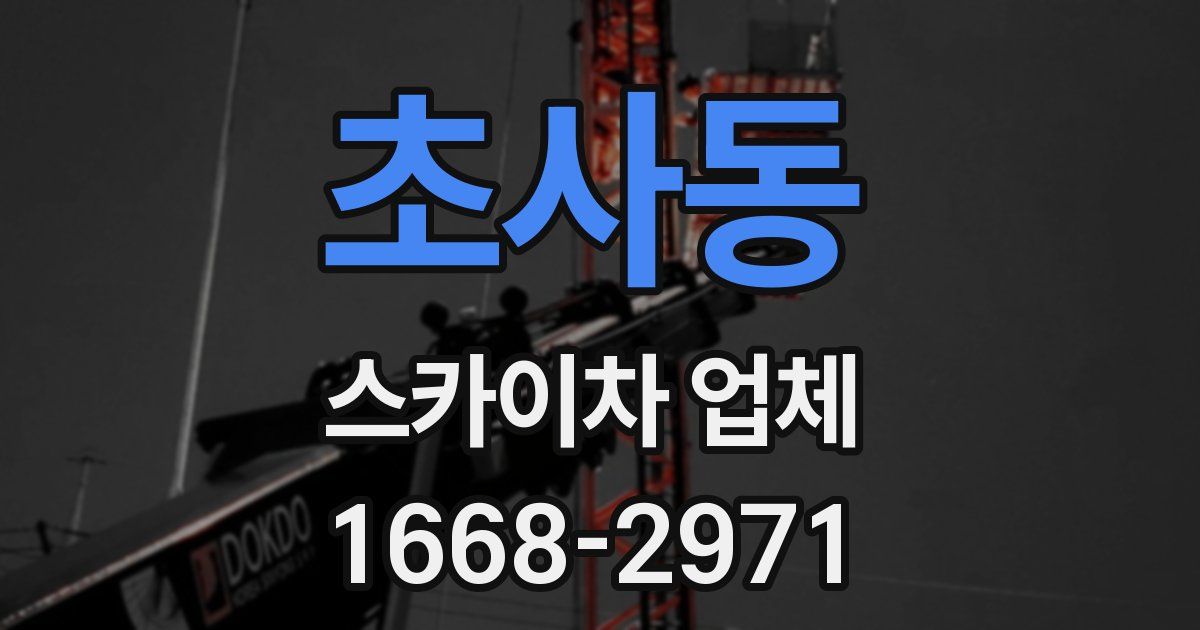 초사동 스카이차 업체
