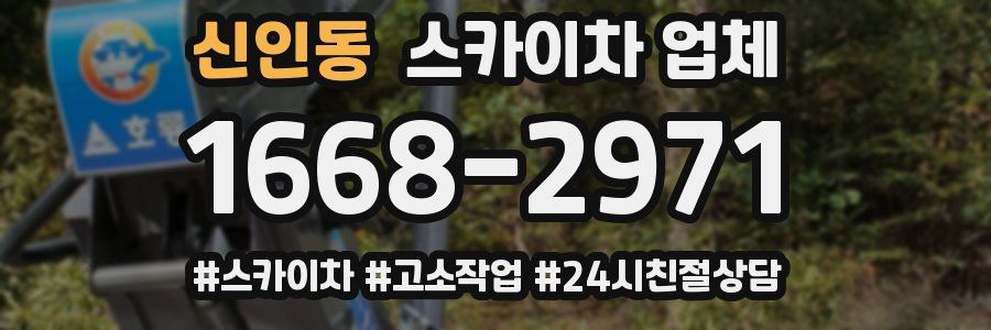 신인동 스카이차 업체