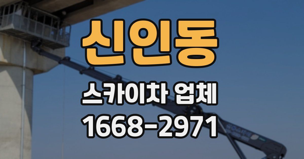 신인동 스카이차 업체