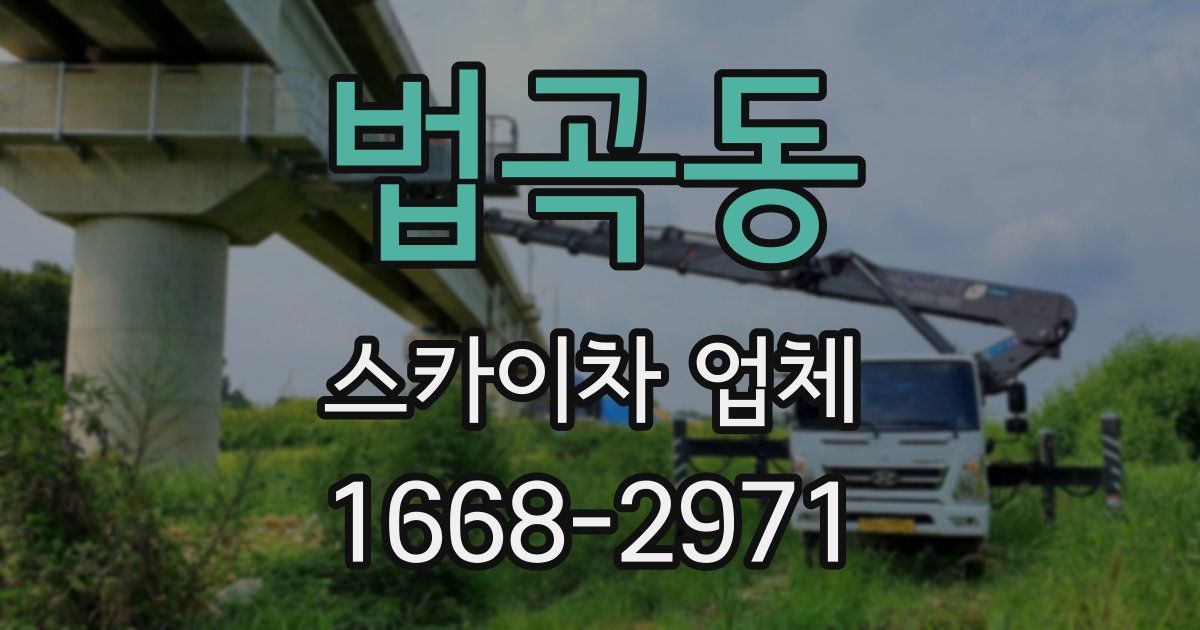 법곡동 스카이차 업체