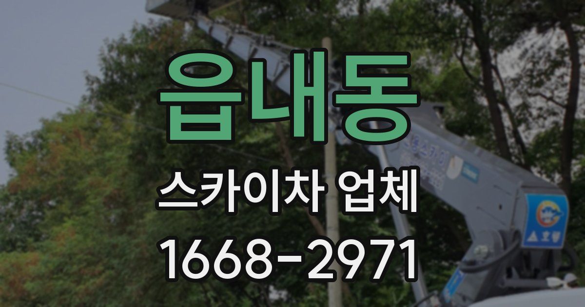 읍내동 스카이차 업체