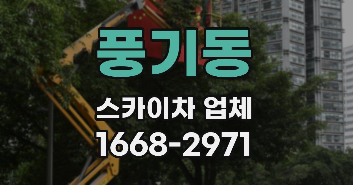 풍기동 스카이차 업체