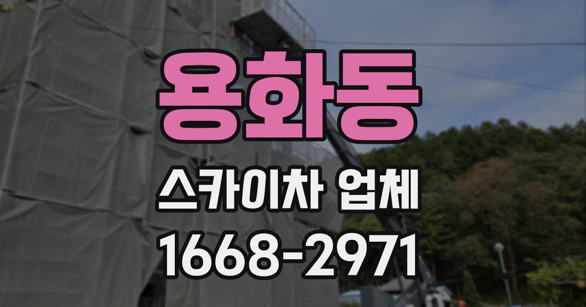 용화동 스카이차 업체