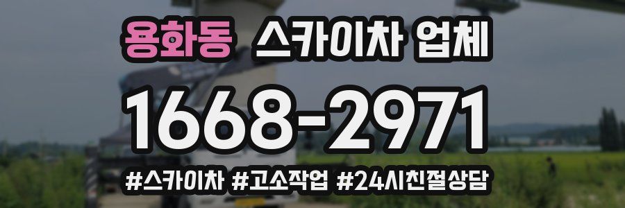 용화동 스카이차 업체