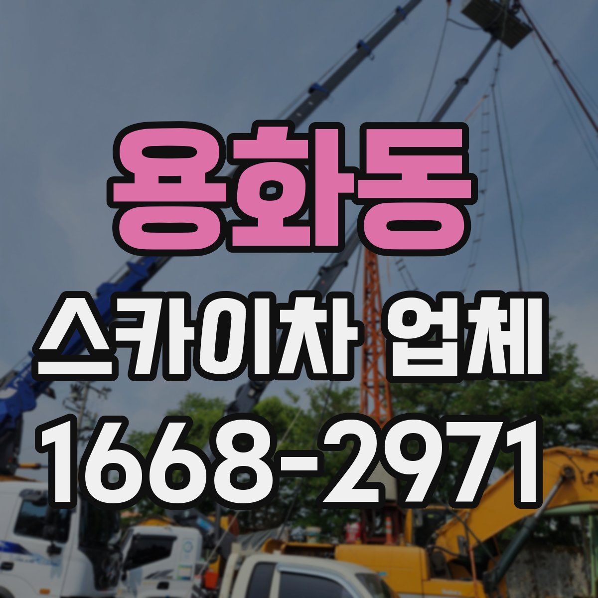 용화동 스카이차 업체