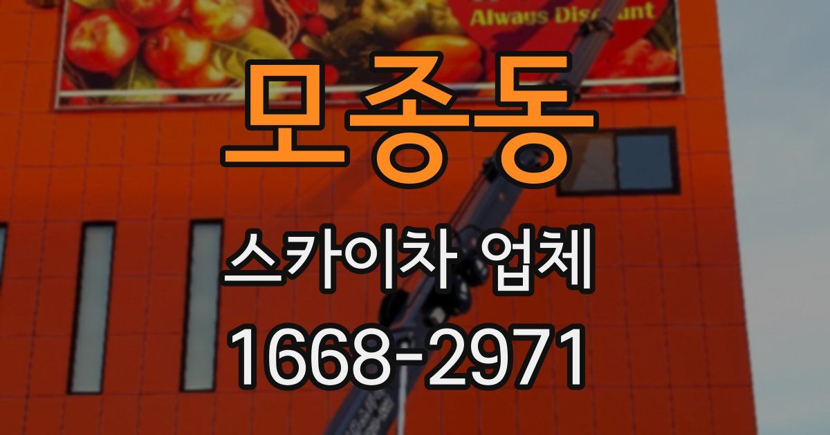 모종동 스카이차 업체