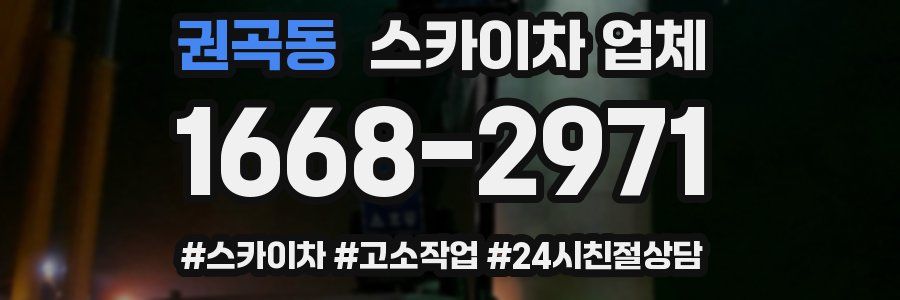권곡동 스카이차 업체
