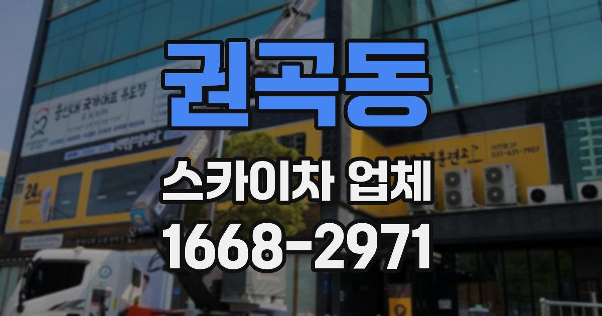 권곡동 스카이차 업체
