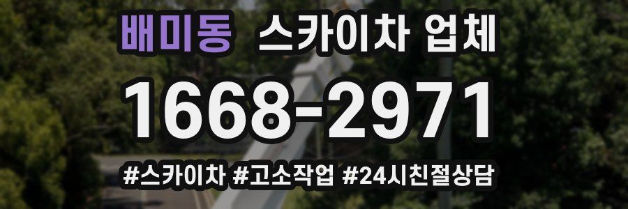 배미동 스카이차 업체