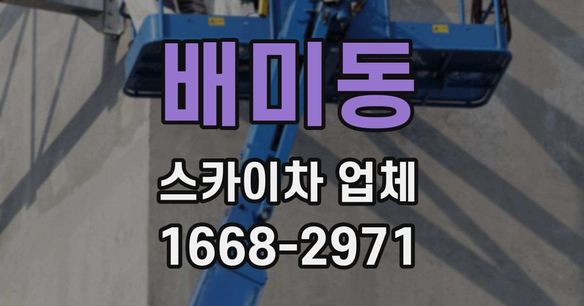 배미동 스카이차 업체