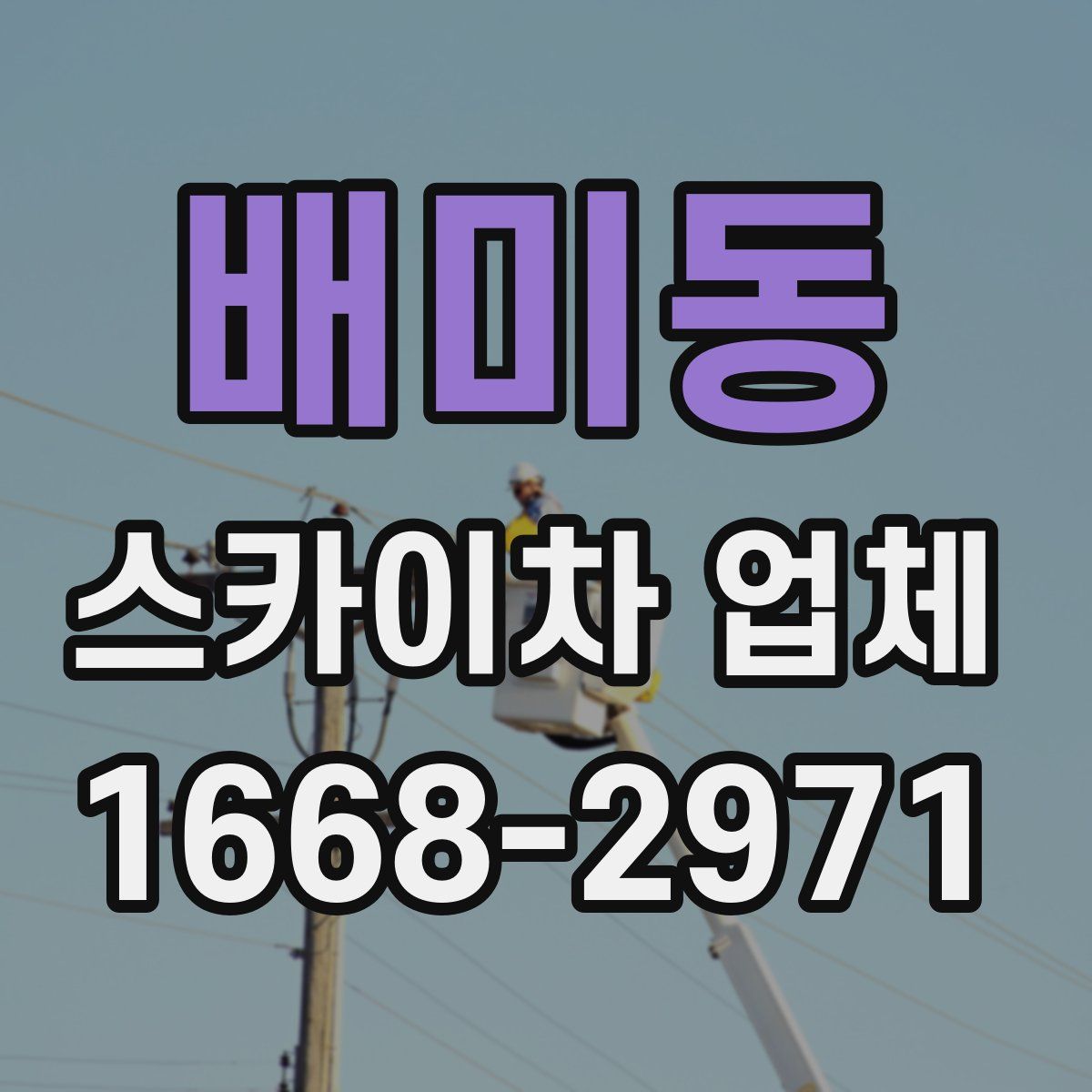 배미동 스카이차 업체