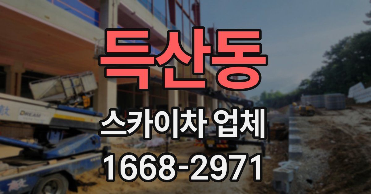 득산동 스카이차 업체