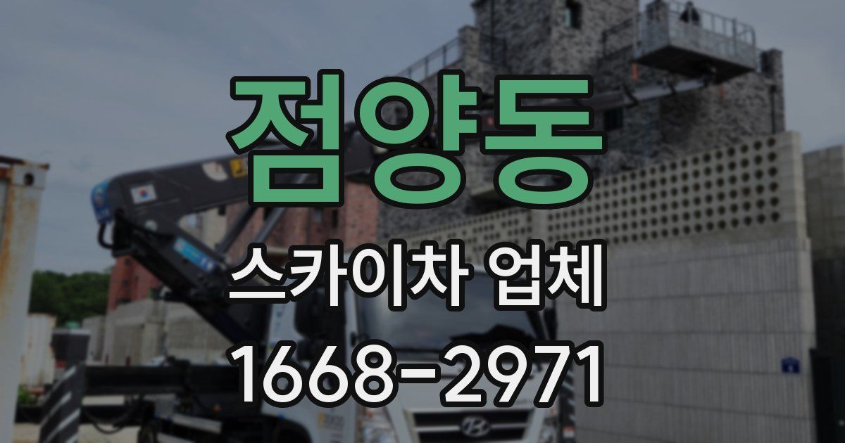 점양동 스카이차 업체
