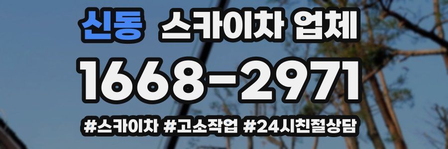 신동 스카이차 업체