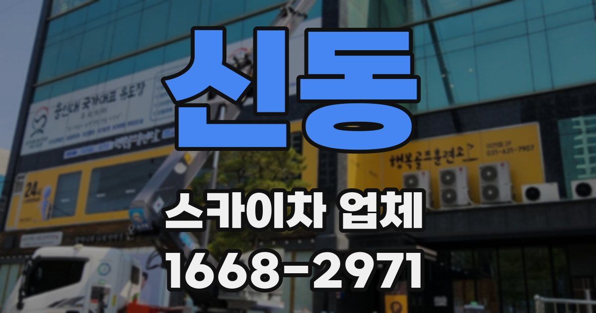 신동 스카이차 업체
