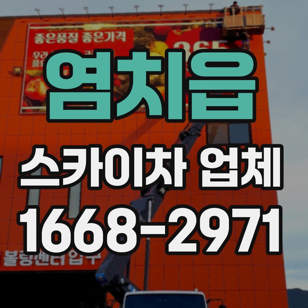 염치읍 스카이차 업체